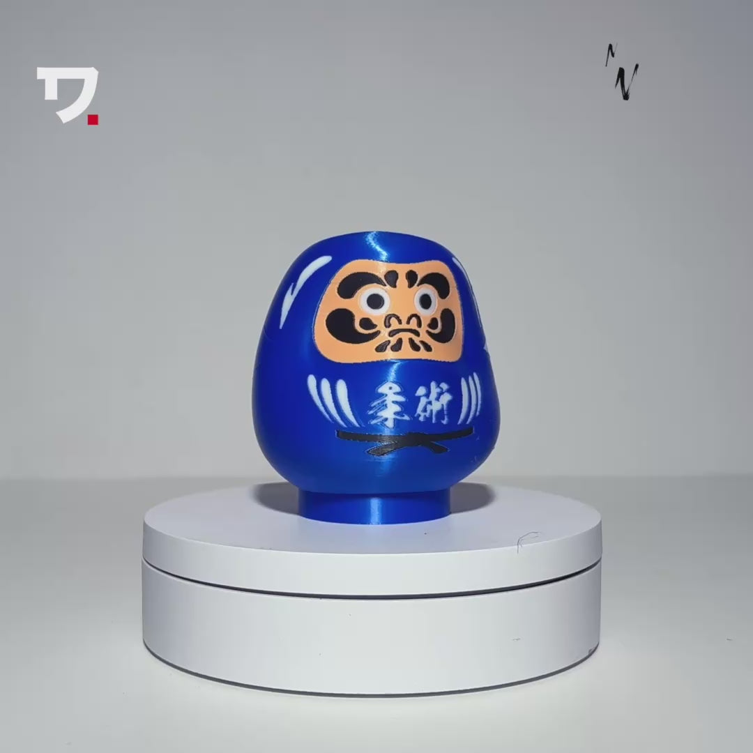 daruma jiu jitsu en vídeo 360